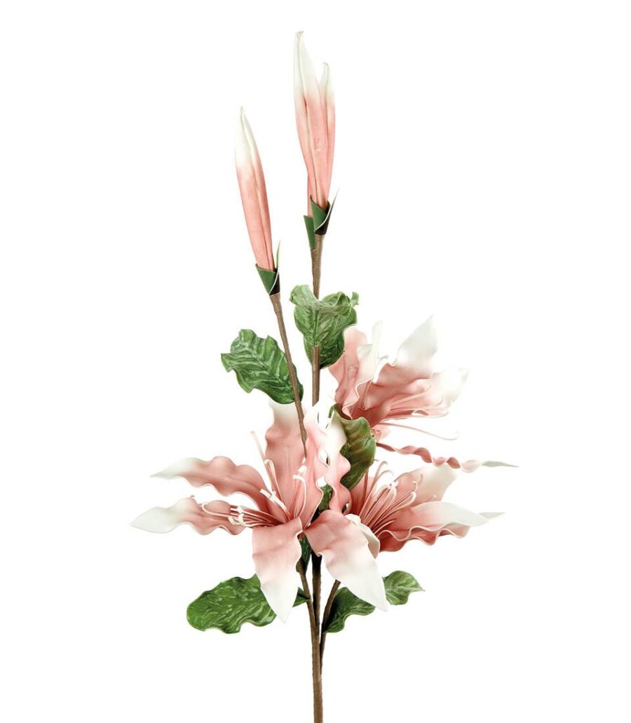 fiore-lilium-rosa-angolobellaria.it