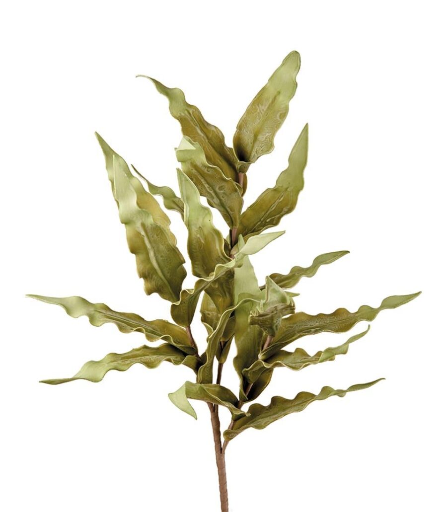FELCE_AUSTRALIANA_fiore_artificiale_1_angolobellaria.it