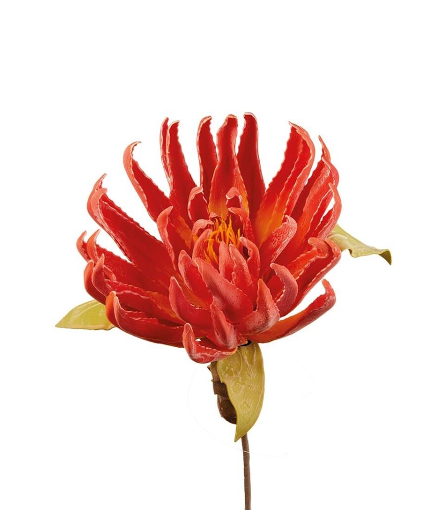 dragon_claw_fiore_artificiale_angolobellaria.it
