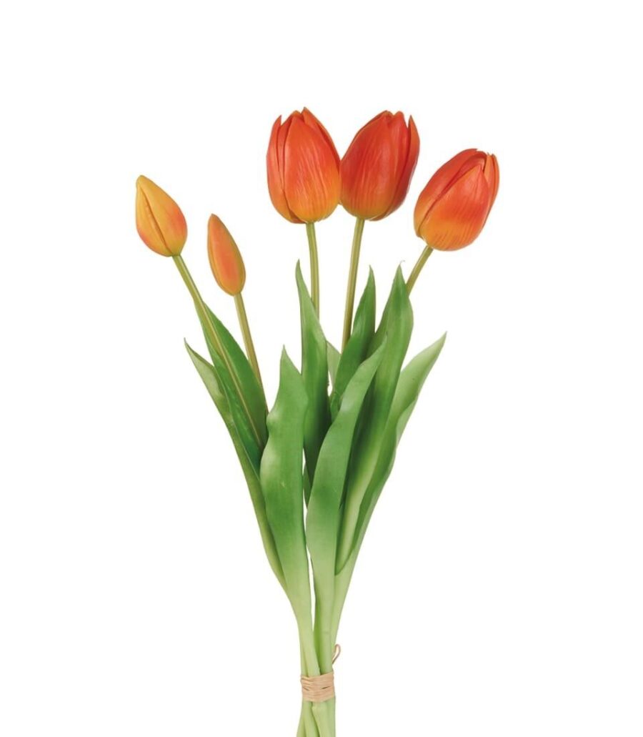 tulipani_arancioni_angolobellaria.it