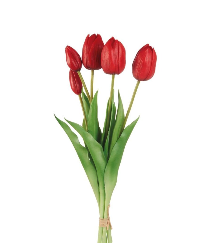 tulipani_rosssi_angolobellaria.it